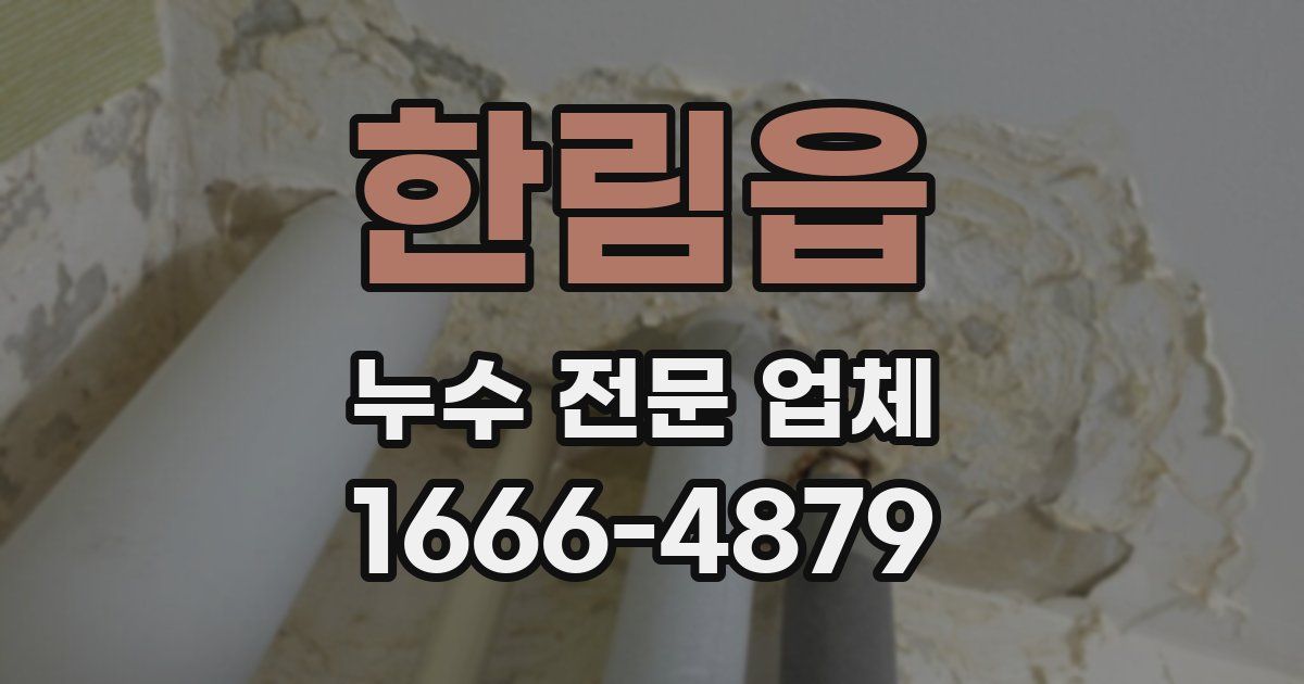 한림읍 누수 전문 업체