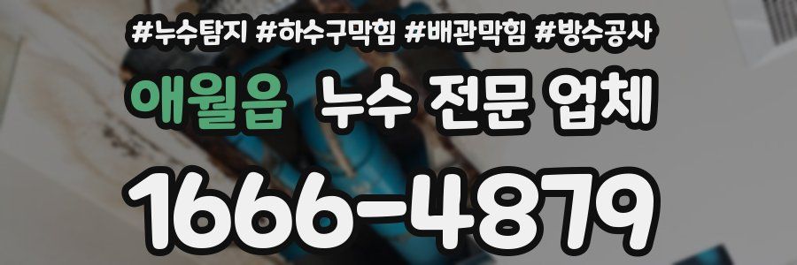 애월읍 누수 전문 업체