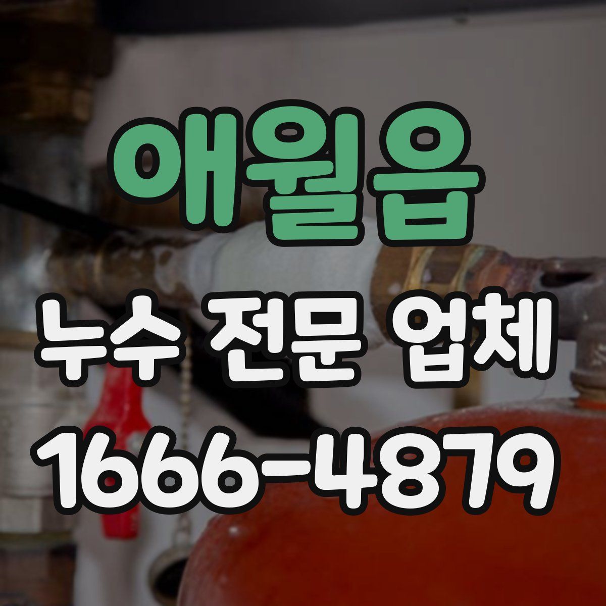 애월읍 누수 전문 업체