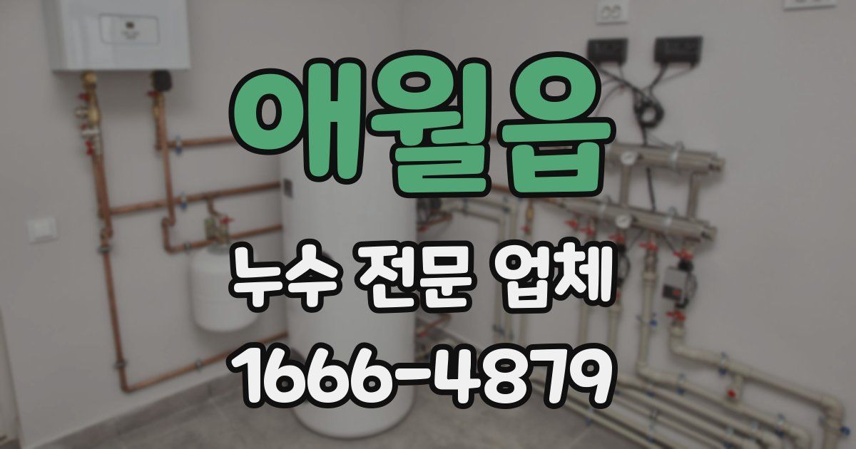 애월읍 누수 전문 업체