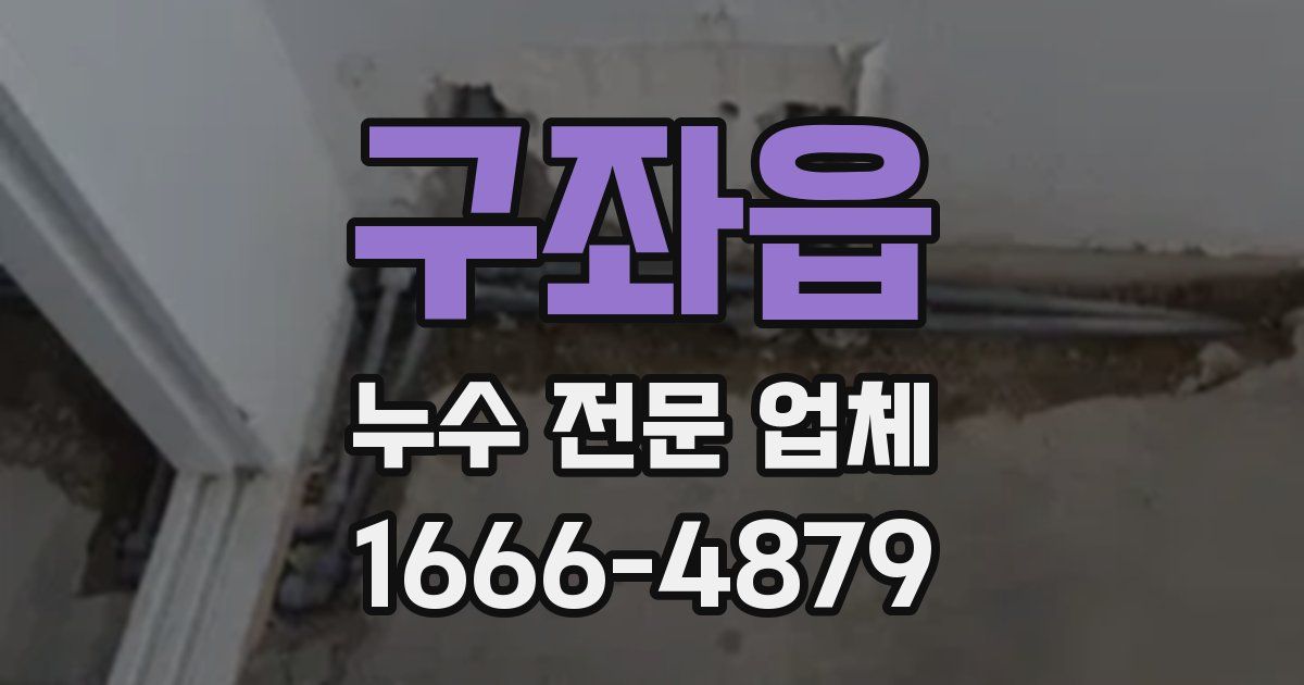구좌읍 누수 전문 업체