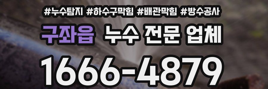 구좌읍 누수 전문 업체