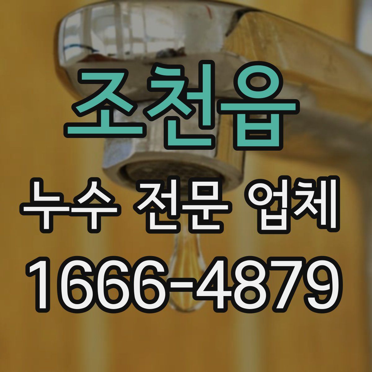 조천읍 누수 전문 업체