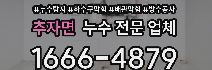 추자면 누수 전문 업체