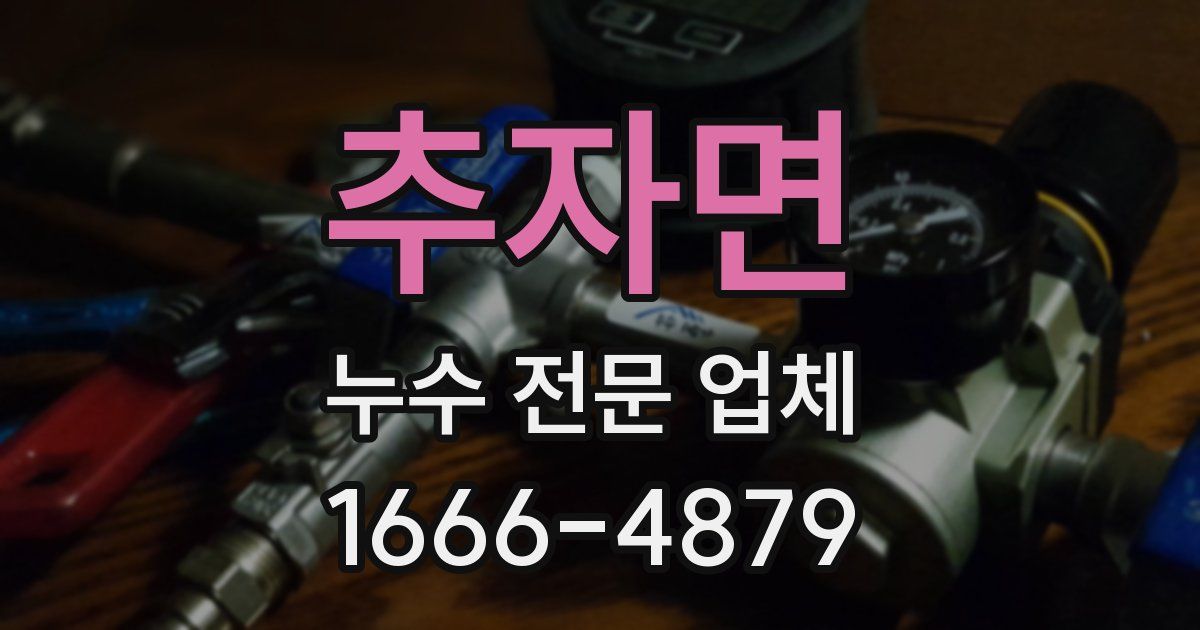 추자면 누수 전문 업체