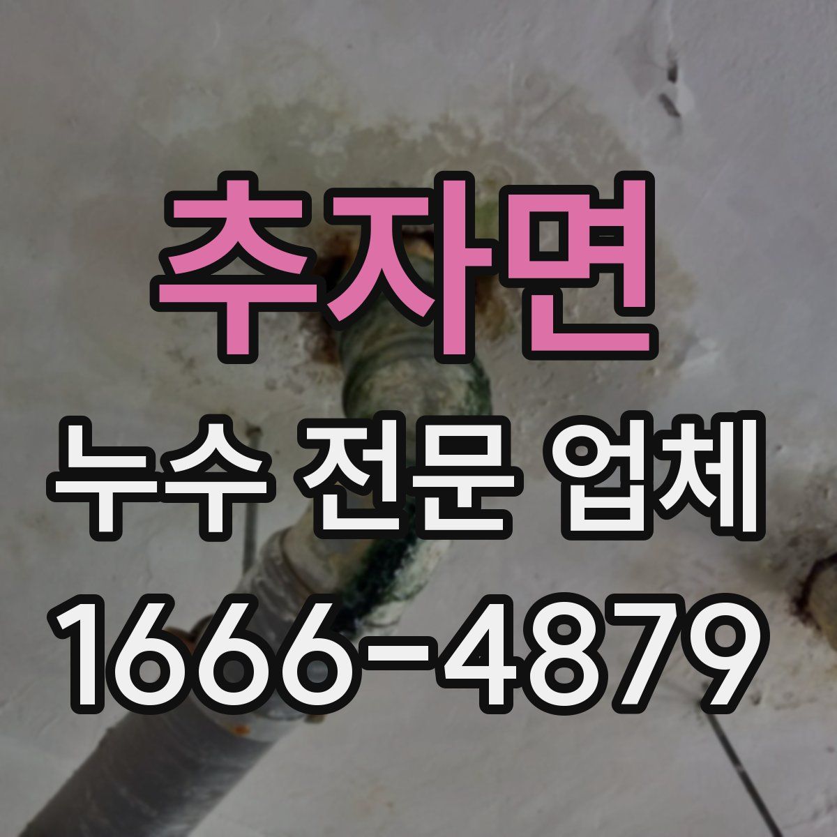 추자면 누수 전문 업체