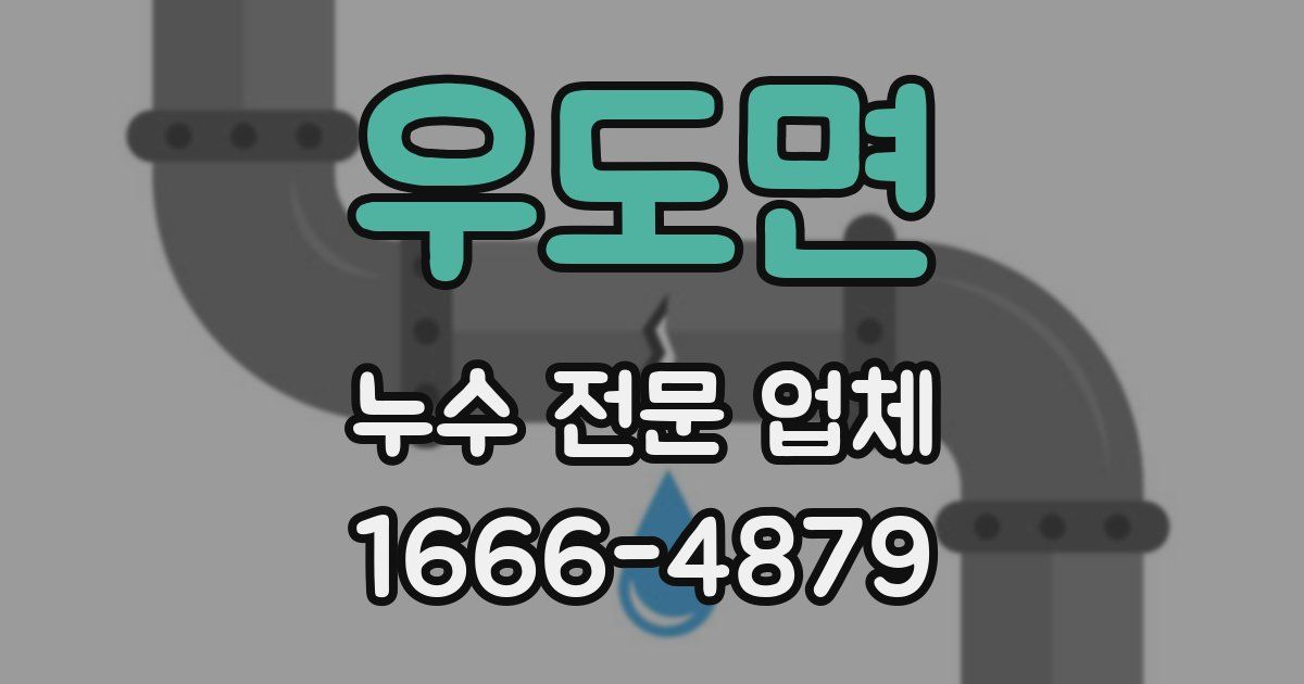 우도면 누수 전문 업체