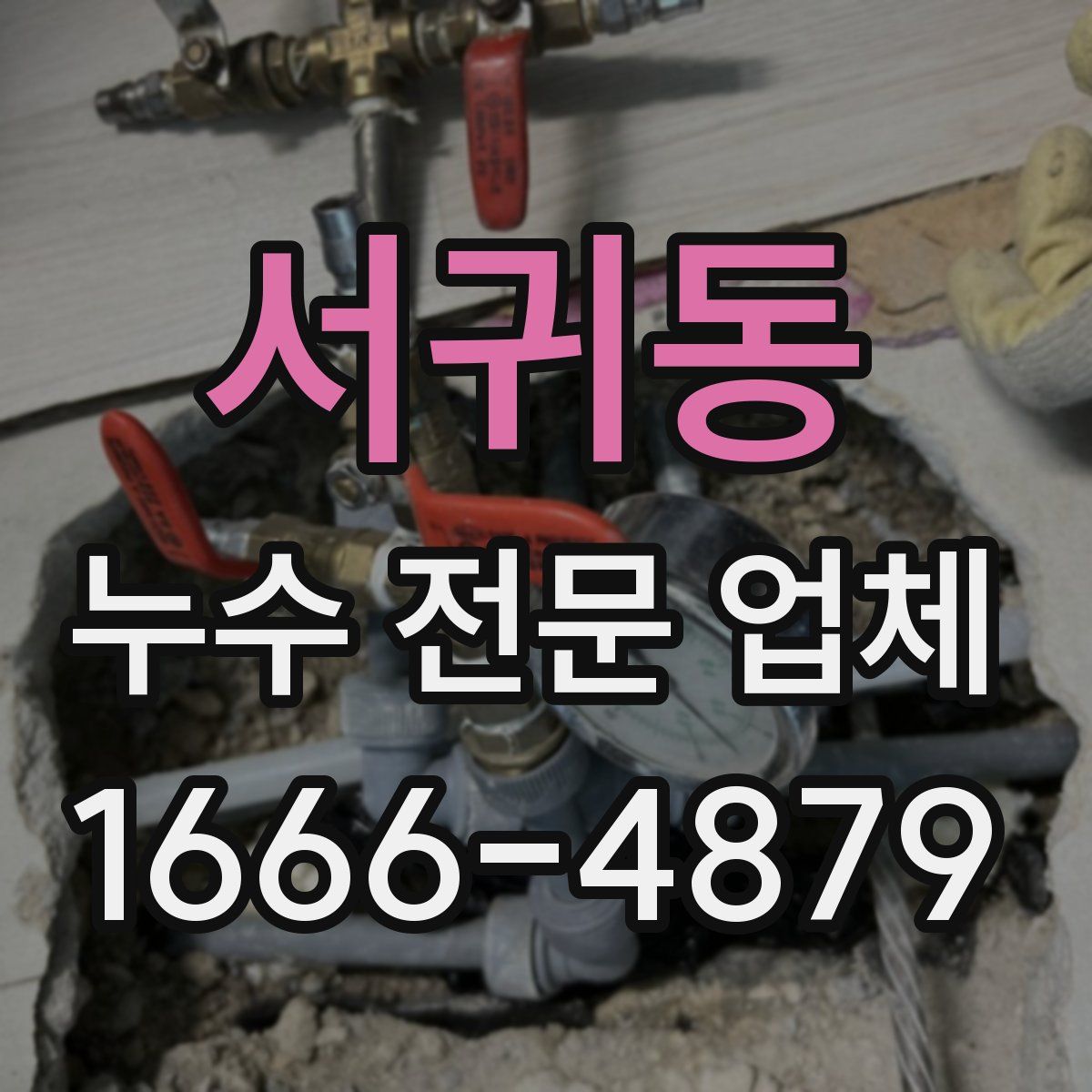 서귀동 누수 전문 업체