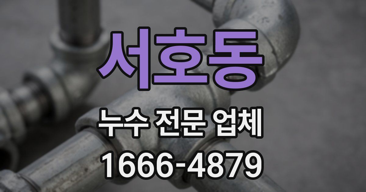 서호동 누수 전문 업체