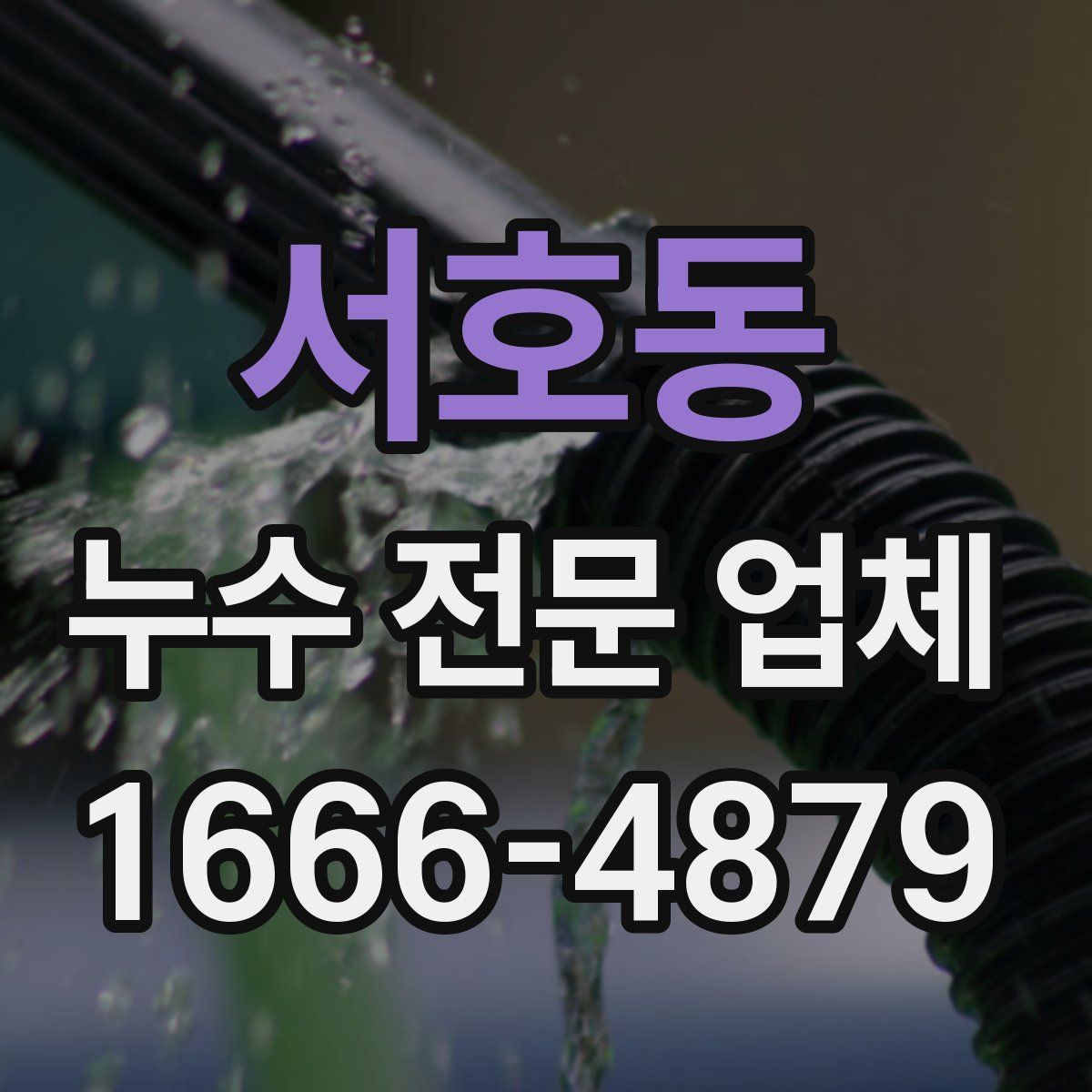 서호동 누수 전문 업체