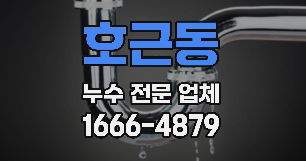 호근동 누수 전문 업체