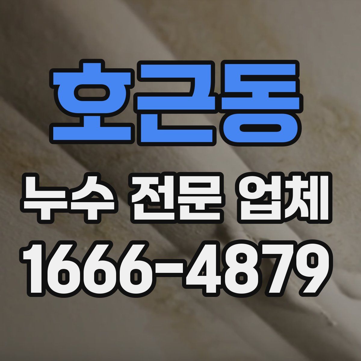 호근동 누수 전문 업체