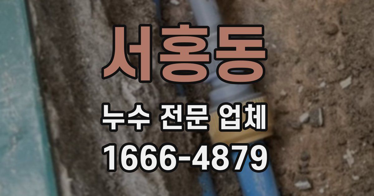서홍동 누수 전문 업체