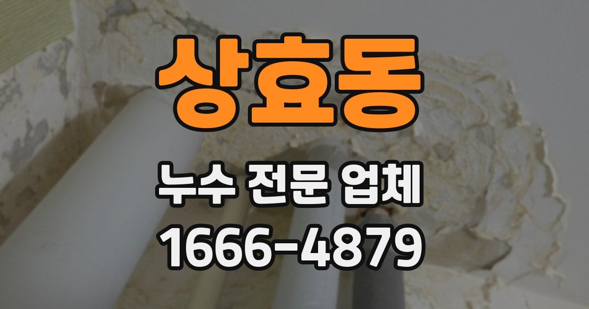 상효동 누수 전문 업체