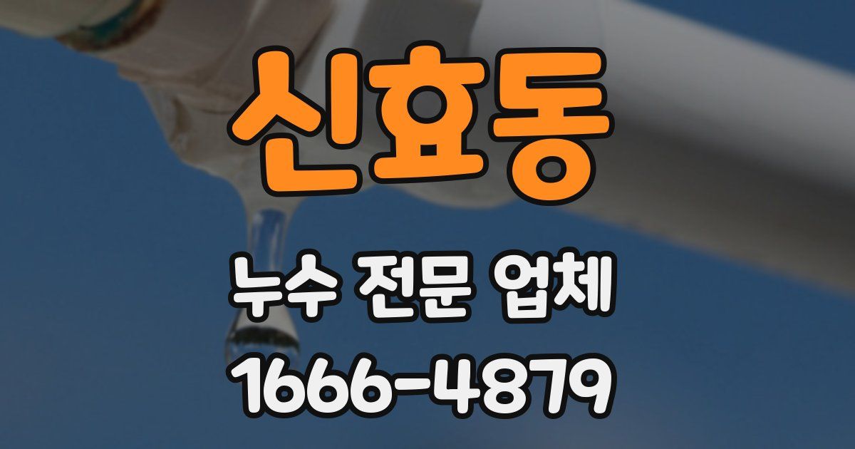 신효동 누수 전문 업체