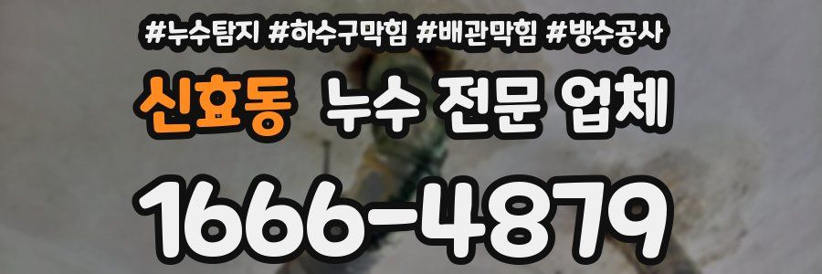신효동 누수 전문 업체