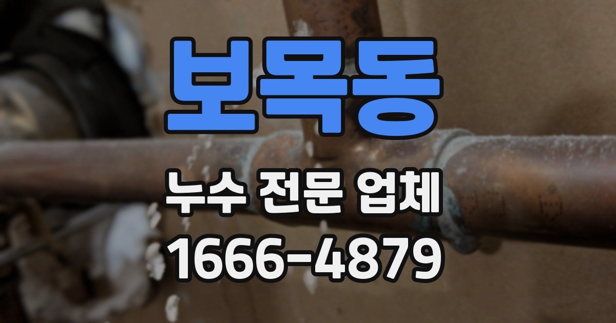 보목동 누수 전문 업체