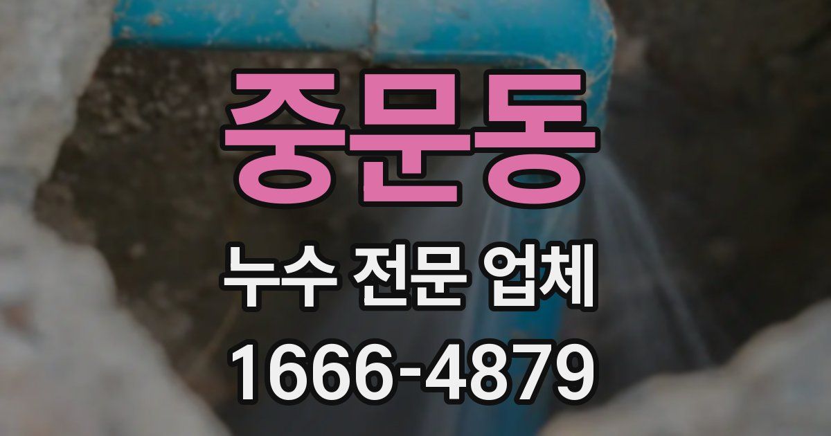 중문동 누수 전문 업체