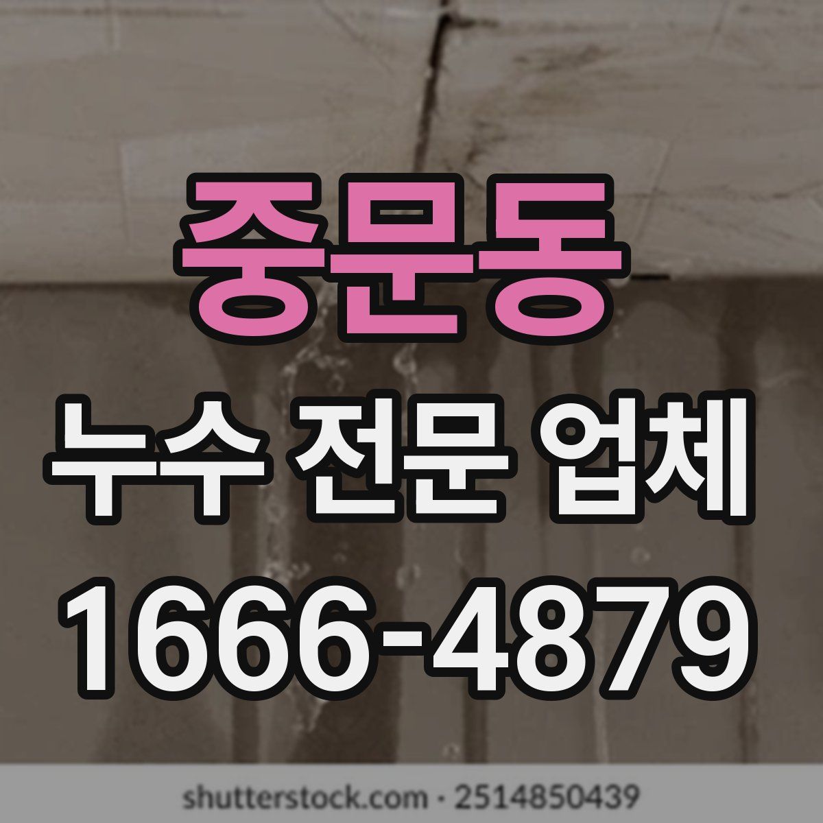 중문동 누수 전문 업체