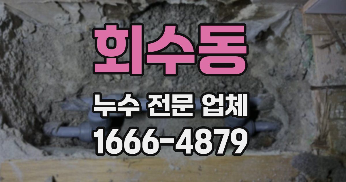 회수동 누수 전문 업체