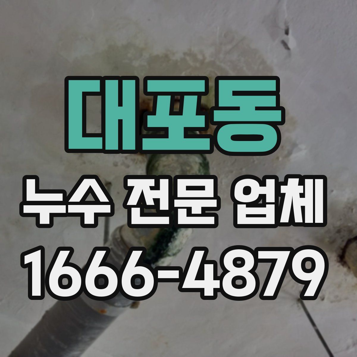 대포동 누수 전문 업체