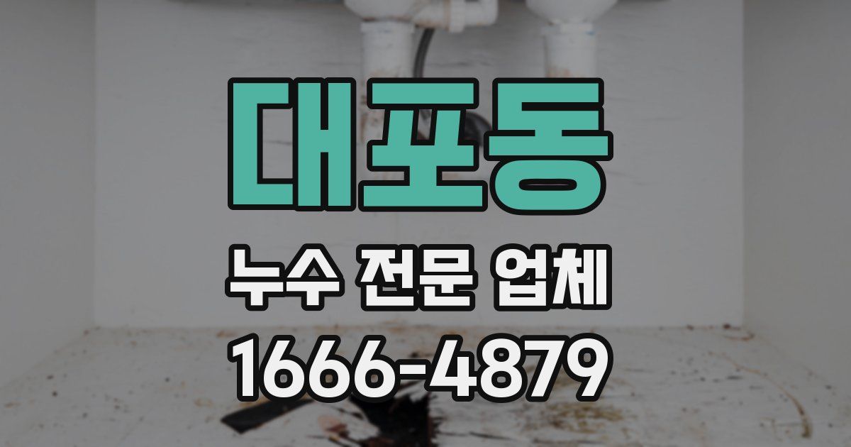 대포동 누수 전문 업체