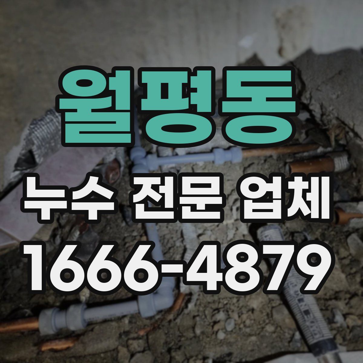 월평동 누수 전문 업체