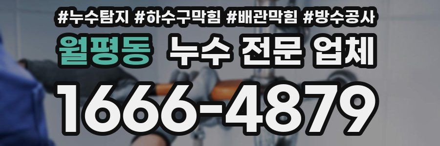 월평동 누수 전문 업체