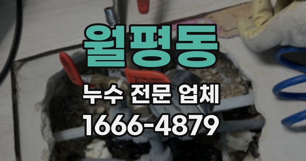 월평동 누수 전문 업체