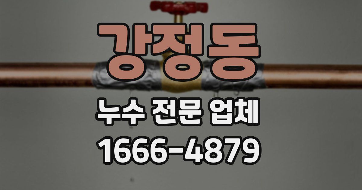 강정동 누수 전문 업체
