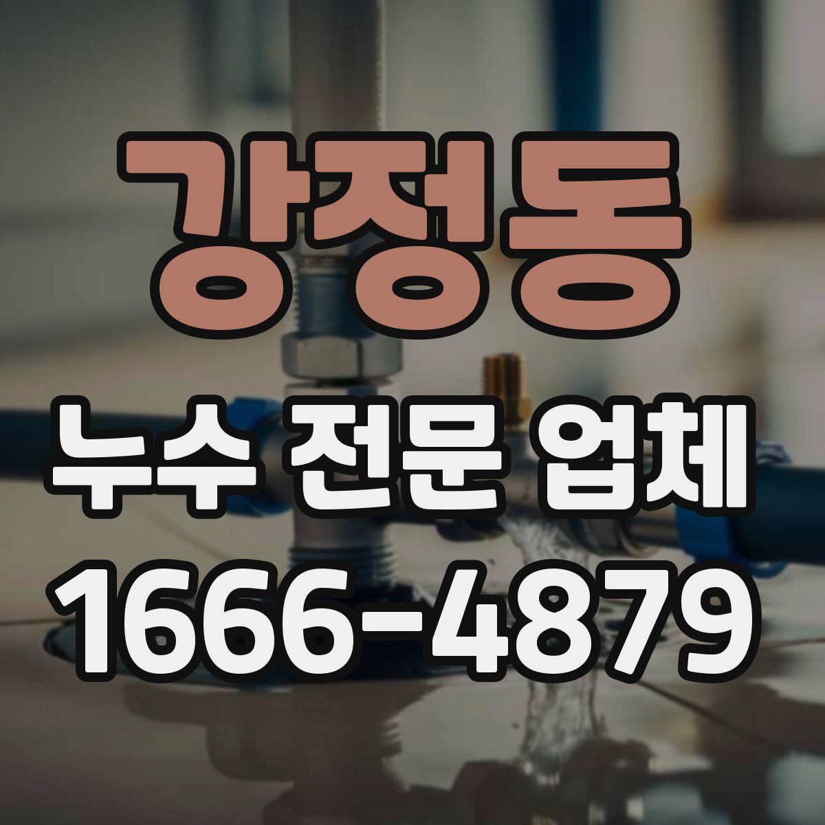 강정동 누수 전문 업체