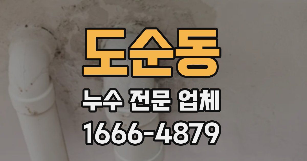 도순동 누수 전문 업체