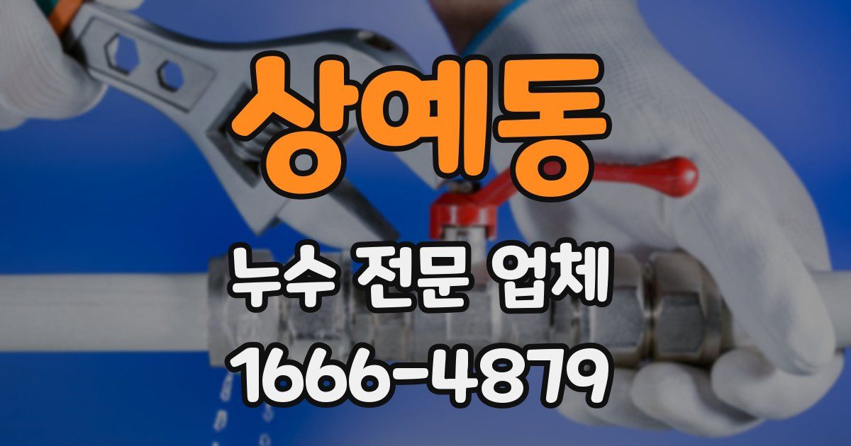 상예동 누수 전문 업체