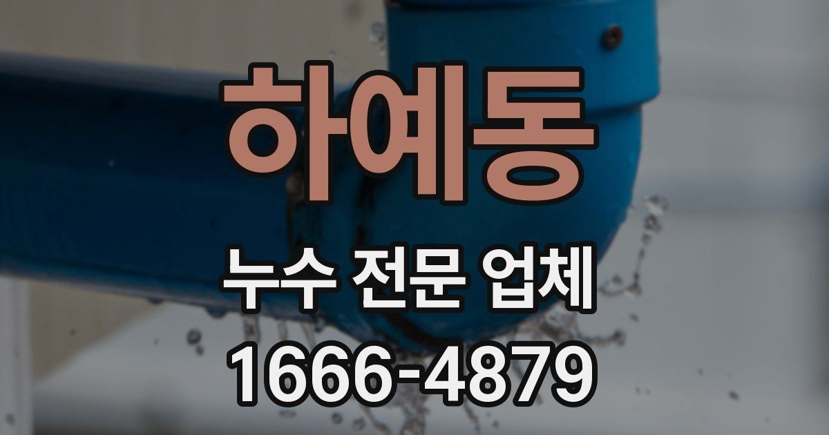 하예동 누수 전문 업체