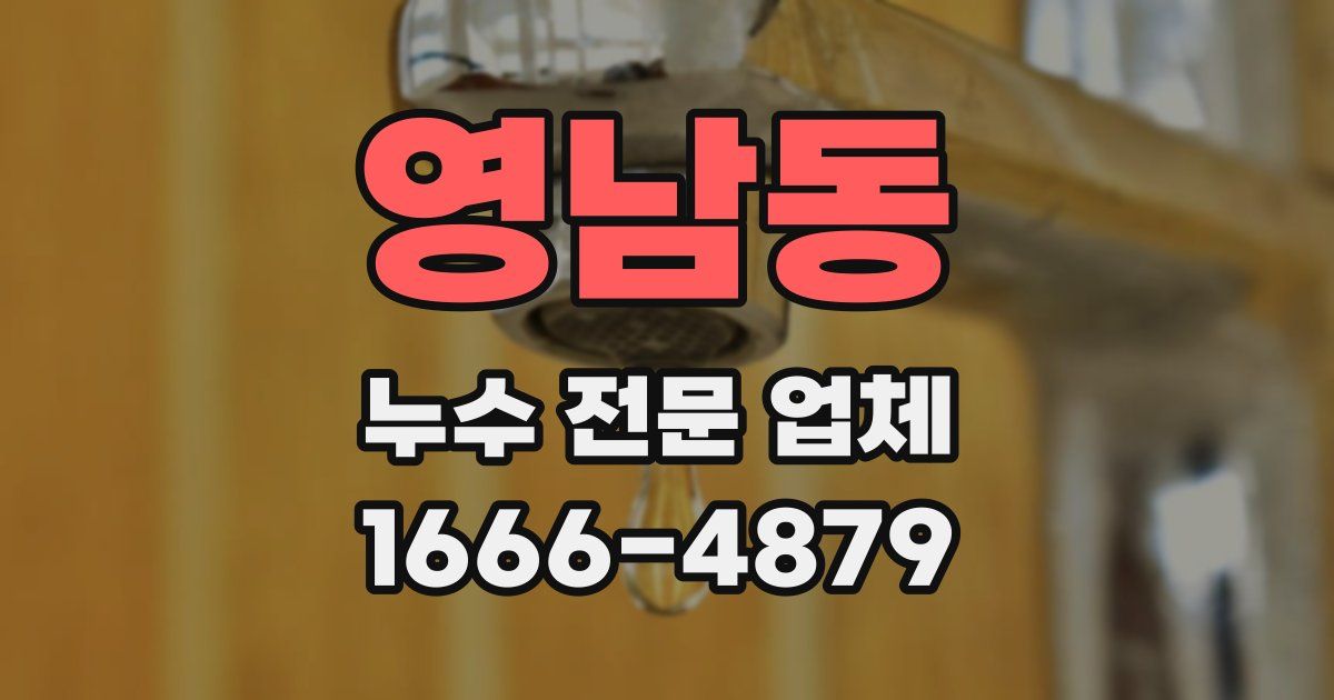 영남동 누수 전문 업체