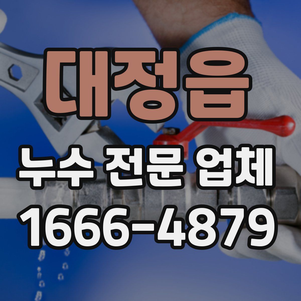 대정읍 누수 전문 업체