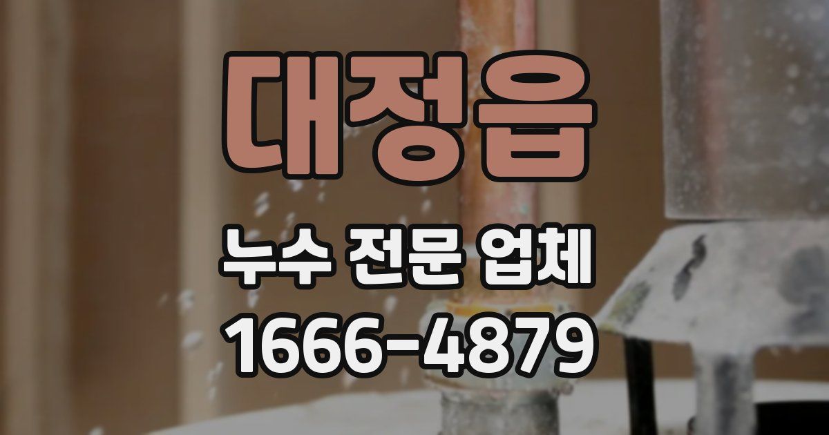 대정읍 누수 전문 업체