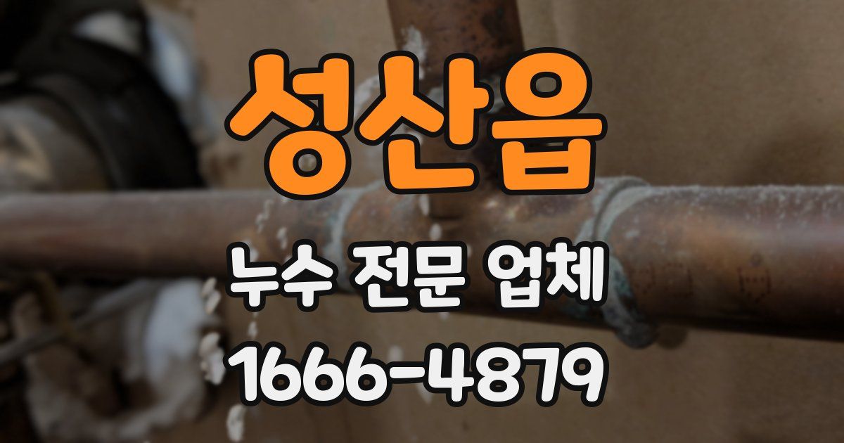성산읍 누수 전문 업체