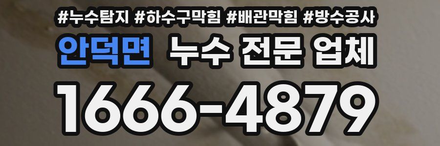 안덕면 누수 전문 업체