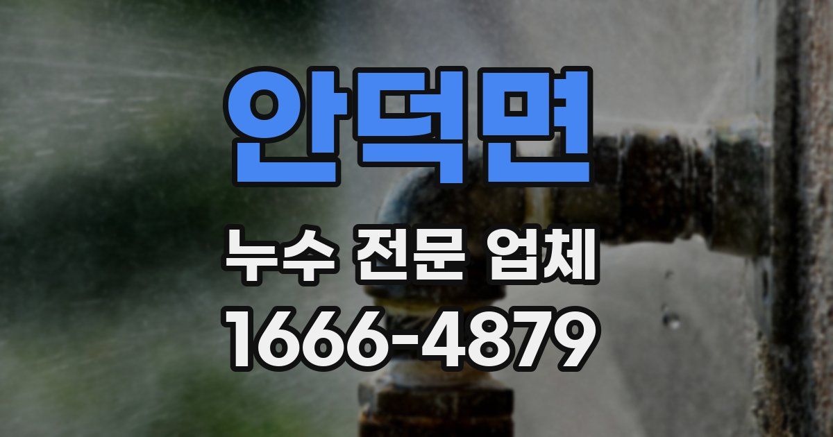 안덕면 누수 전문 업체
