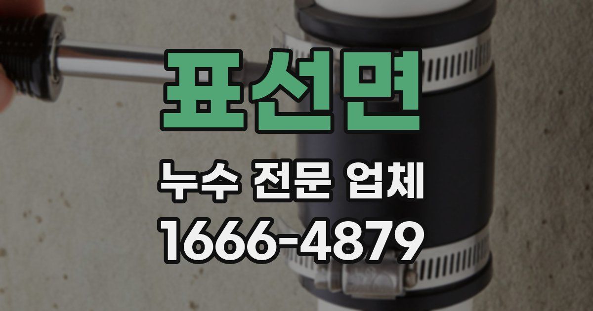 표선면 누수 전문 업체