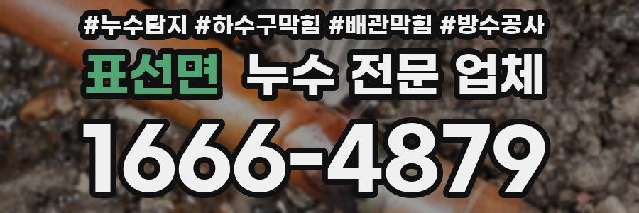 표선면 누수 전문 업체