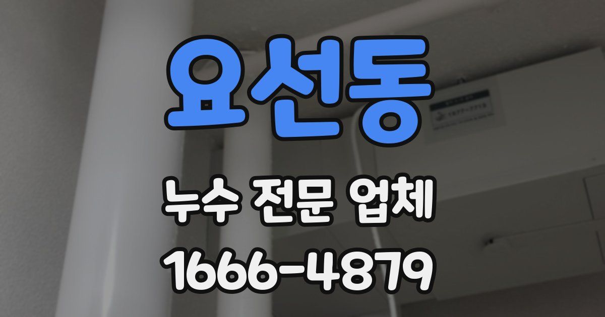 요선동 누수 전문 업체