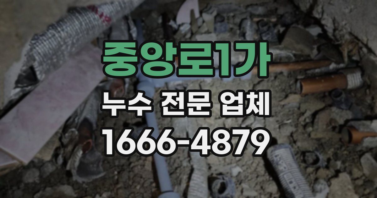 중앙로1가 누수 전문 업체