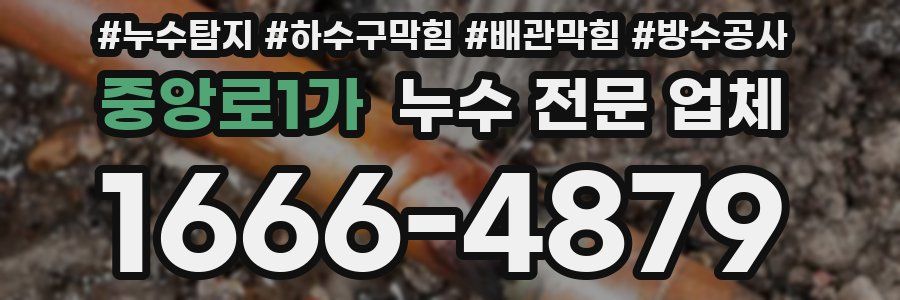 중앙로1가 누수 전문 업체
