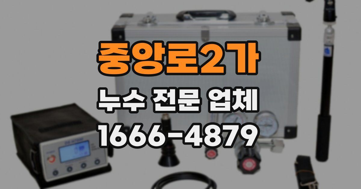 중앙로2가 누수 전문 업체