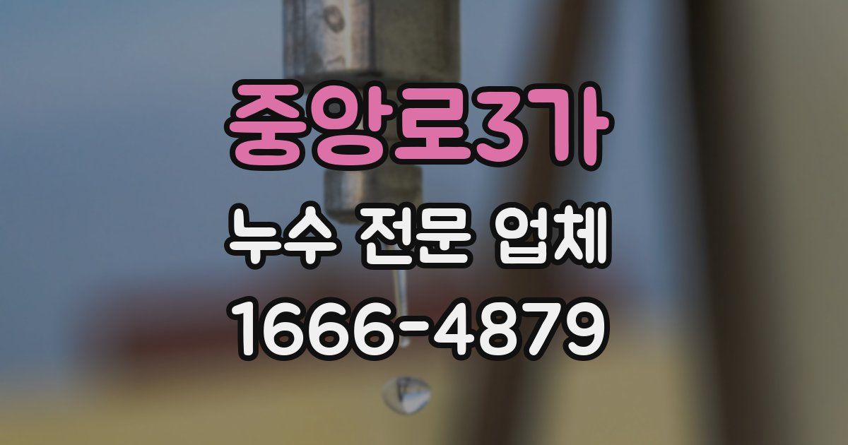중앙로3가 누수 전문 업체