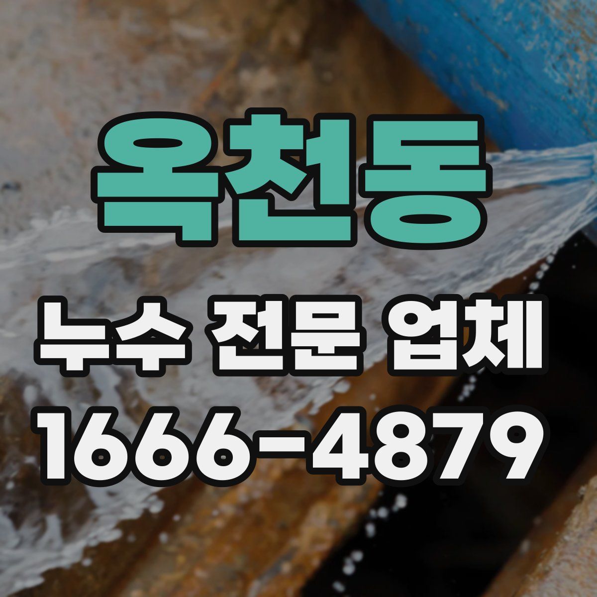 옥천동 누수 전문 업체