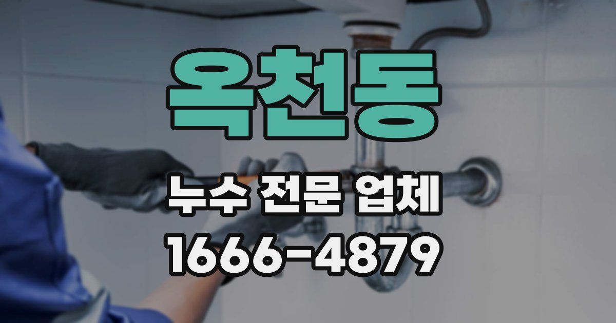 옥천동 누수 전문 업체