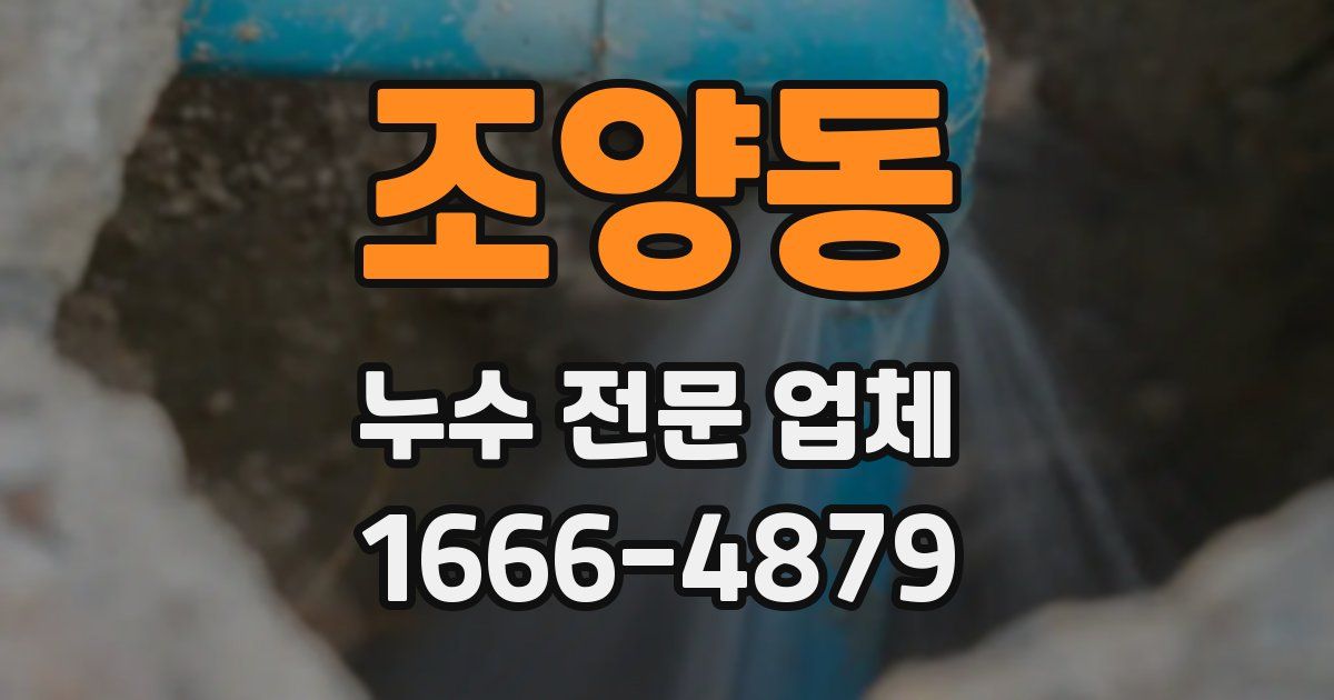 조양동 누수 전문 업체